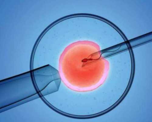 西安靠谱代怀医院,杭州省妇幼试管婴儿费用-西安能做供卵吗