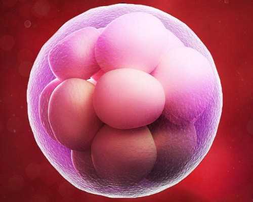 陕西代怀孕零首付,陕西省试管医院排名陕西试管成功率高的医院