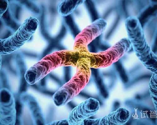 陕西供卵中心官网,陕西做试管能生男孩吗？陕西试管婴儿生男孩是真的吗？