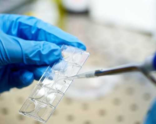 国内供卵乱象,供卵市场乱象