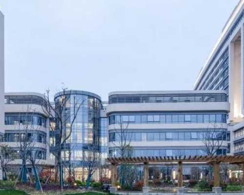 33岁卵巢早衰严重卵泡少做供卵试管婴儿容易成功吗？