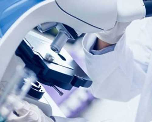 助孕网站,吉林供卵供卵代怀助孕微信（北京供卵代怀微信群）