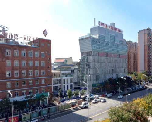 泰国试管婴儿医院机构排名：顶尖服务与技术的较量,代生代怀