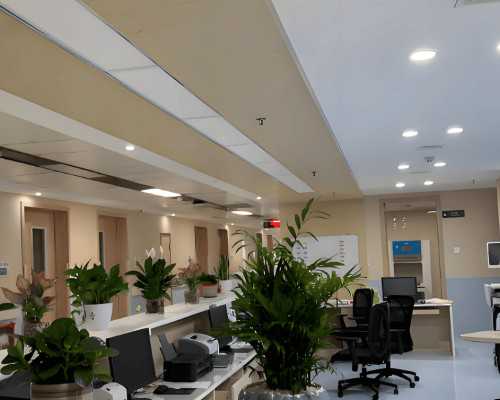 试管代生价格,三亚三代试管助孕捐精生子费用高吗