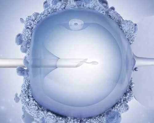 广州冻胚胎太贵了～