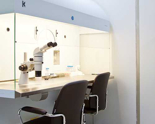 供卵代怀借卵,沧州三代供卵代怀助孕生子费用总共要多少？